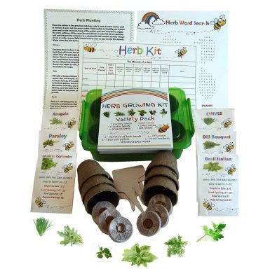 Kids’ herb garden